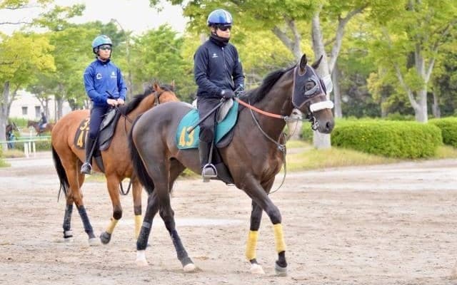 今週からJRA新馬戦の幕開け 良血馬ジョドレルバンクなどがスタンバイ/関東馬メイクデビュー情報