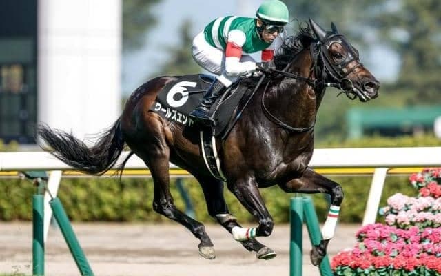 【安田記念】史上4組目の父仔制覇なるか 2頭のロードカナロア産駒が登録