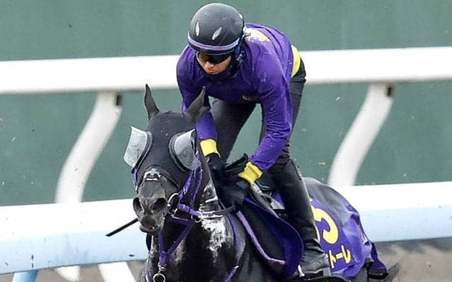 【安田記念】トロヴァトーレは重賞連勝で勢い十分　鹿戸調教師「前走は思っていたよりも強い競馬」