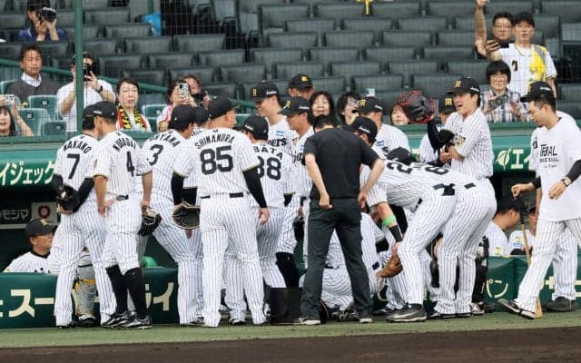 【阪神】４試合ぶり基本のドラ１クリーンアップ　先発大竹耕太郎、伏見寅威バッテリー／スタメン
