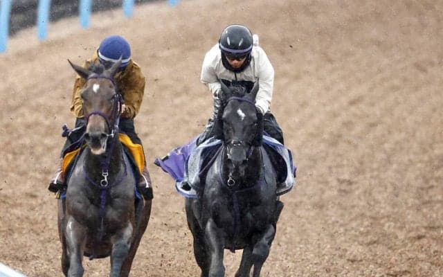 【安田記念】重賞連勝中トロヴァトーレは万全　鹿戸調教師「ようやく実が入っていい状態でＧＩに挑戦できる」