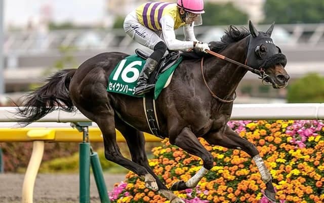 【安田記念予想】AIと人間の意見に温度差あり!? 人工知能が注目した伏兵とは