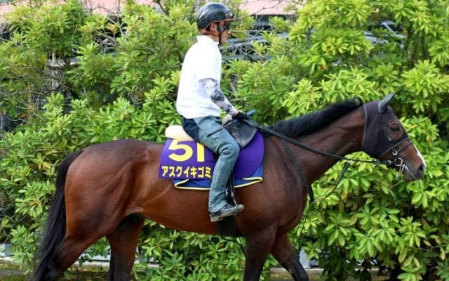 【注目馬動向】アスクイキゴミは安田記念を回避　米Ｇ１のＢＣマイルを目標　藤原調教師「チャンスがあれば行きたい」