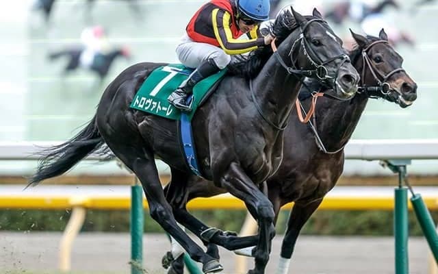 【安田記念出走馬・騎手確定】トロヴァトーレ＆C.ルメール騎手、ガイアフォース＆横山武史騎手など17頭