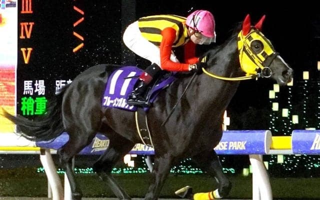 川島正一厩舎が１、２着を独占　ブルーメンガルテンが若潮スプリント制覇