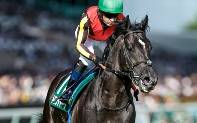 【安田記念枠順確定】トロヴァトーレは8枠17番、ガイアフォースは7枠14番