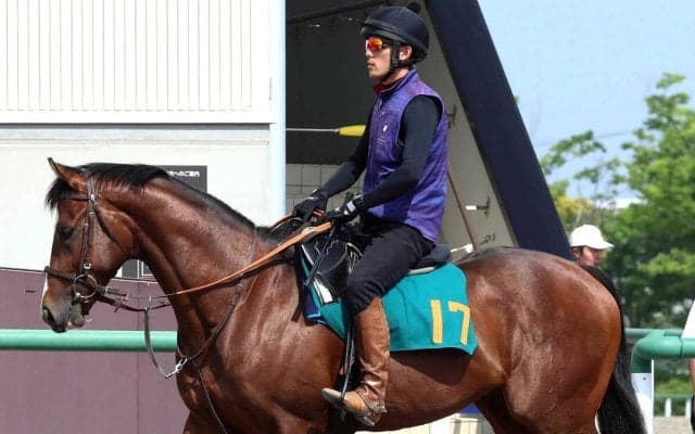 【土曜注目】新種牡馬産駒４頭が東京５Ｒで一気にデビュー　ホットロッドチャーリー産駒のウィンターブリーズは１・５億円馬