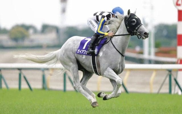 【安田記念】昨年2着ガイアフォースは7枠14番