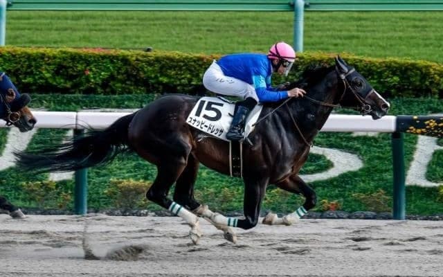 【今日の注目ポイント】阪神競馬が開幕 新馬戦がスタート