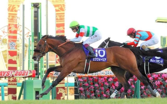 【東京５Ｒ・２歳新馬】エフフォーリアの初年度産駒と主戦だった横山武史騎手の初タッグが実現　クシェドゥソレイユで３着