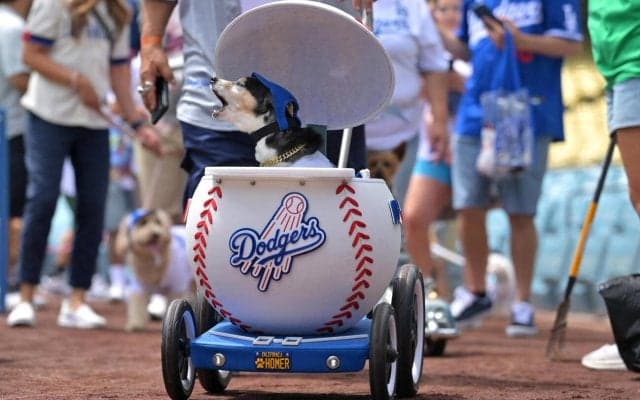 ドジャースが「ドッグデー」で愛犬と観戦「うれしいでしょうね、ワンちゃんも」伊東勤氏も笑顔
