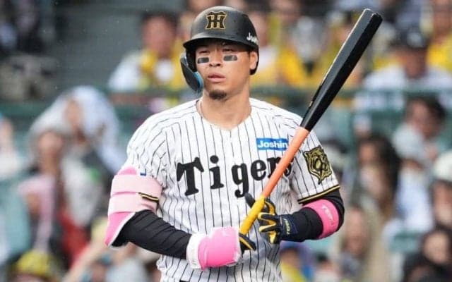 月曜午後3時過ぎ、阪神の発表に「マジですか」　「-●●〇〇--」の珍事…「どうなるのこれ」
