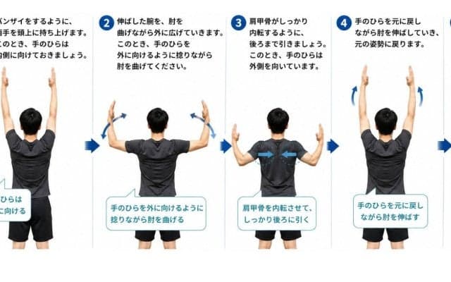 腕が上がらないのは「肩甲骨が硬いから」かも！このストレッチを試してみて【図解つき】