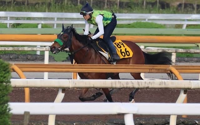 テレサなど、府中牝馬S1週前追い切り速報/栗東トレセンニュース