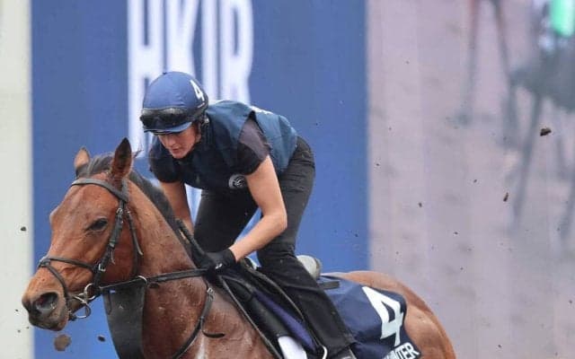 ザライオンインウィンターが調教中の骨折で安楽死　日本馬と何度も対決した名マイラー「どうか安らかに」「ショック」