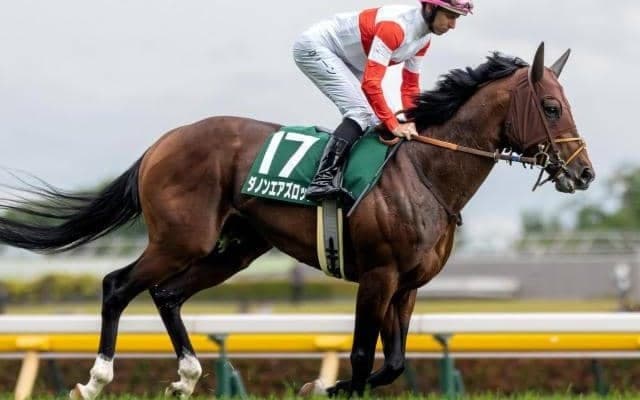 セレクト4.5億円のダノンエアズロック 約2年1カ月ぶりの勝利なるか