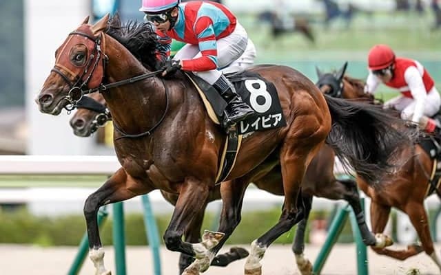 【函館スプリントS枠順確定】レイピアは3枠3番、インビンシブルパパは7枠11番