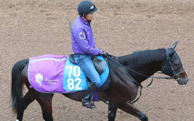 今をときめくキタサンブラック産駒の「長男」ジャスティンスカイが現役引退　今後は乗馬に