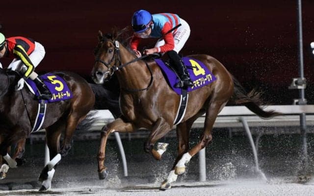 【関東オークス】タマモフリージアなどJRA馬4頭