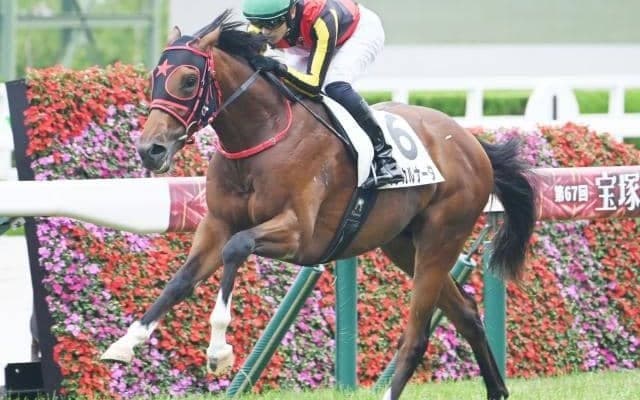 【阪神5R新馬戦結果】インカルナータが逃げ切りV エフフォーリア産駒、早くも勝ち上がり3頭目