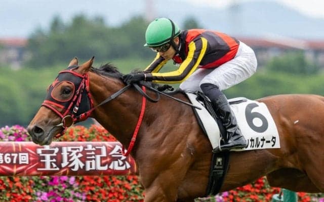【新馬/阪神5R】エフフォーリア産駒インカルナータがデビューV…断然人気ダイナマイク敗れる