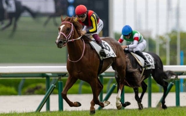 【阪神4R】チェルヴィニアの半弟・チェルヴァーラが初勝利、人気に応える快勝