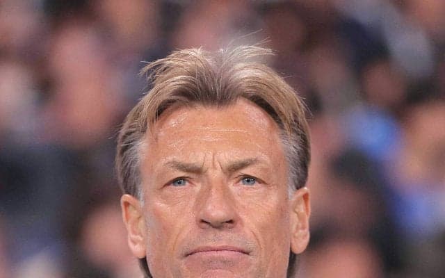 【Ｗ杯】チュニジア代表がルナール氏の監督就任を正式発表　前回大会ではサウジを率いて優勝したアルゼンチンから金星　端正なルックスで“イケオジ”としても話題