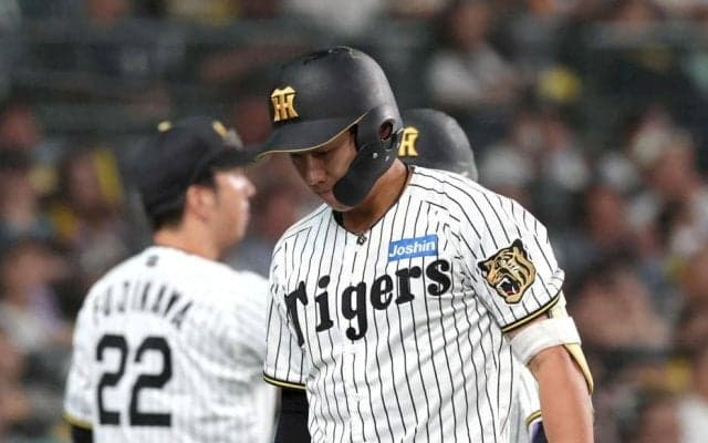 阪神３位転落　４度目完封負けで交流戦球団ワースト１２敗目、過去最低勝率も確定　立石がブレーキ４Ｋ