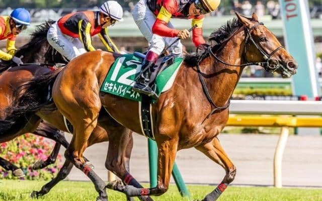 【府中牝馬S】セキトバイーストが史上3頭目の連覇に挑戦
