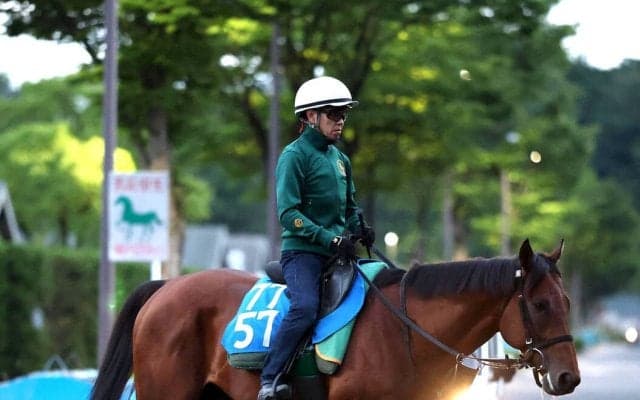 【注目馬動向】しらさぎＳに出走予定のベラジオボンドは左前脚のじん帯を痛めたため出走回避