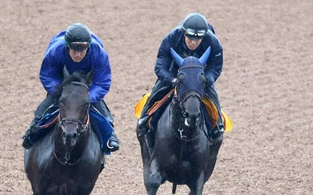 【府中牝馬Ｓ】Ｇ１級３勝ノッてる「タナパク厩舎」ヴァルキリーバース上昇