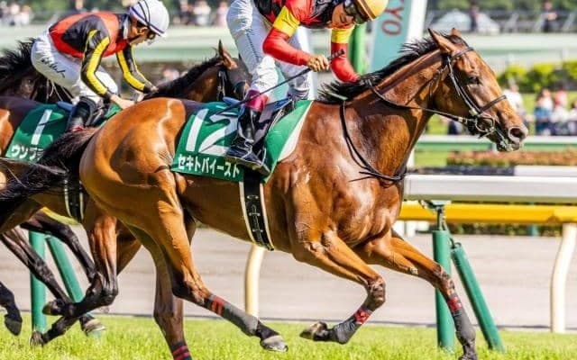 牝馬限定のハンデ重賞府中牝馬S 逃げ馬に要注意