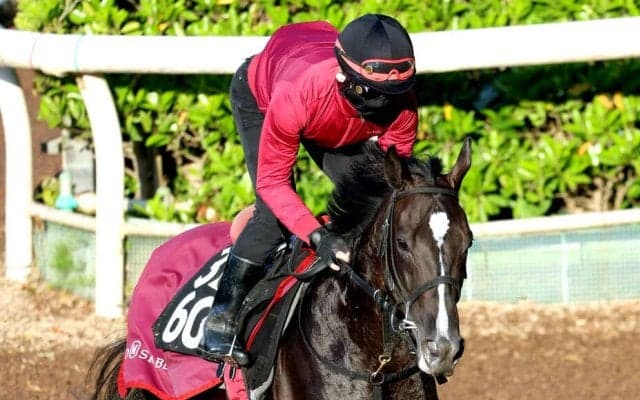 【ラジオＮＩＫＫＥＩ賞】実績上位のバドリナート　リステッド勝ちの距離で初タイトルへ　松永幹調教師「徐々に良くなっている」