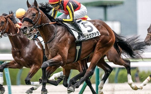 【福島5R新馬戦結果】レイデオロ産駒エスクアドラが差し切り新馬勝ち