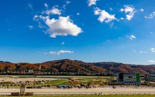 【新馬/福島5R】レイデオロ産駒エスクアドラが鮮やかデビューV…長くいい脚で差し切る