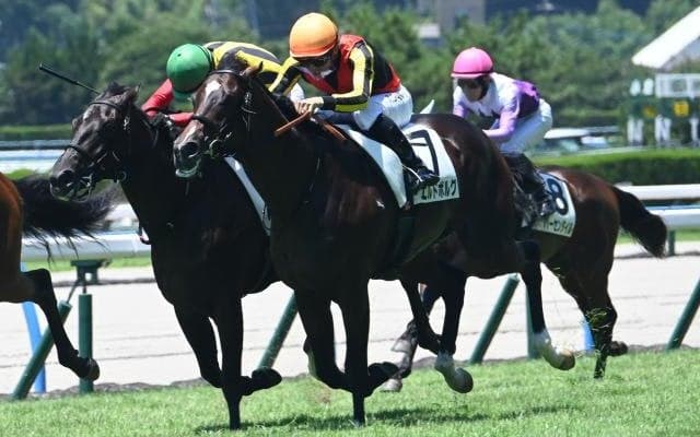【小倉5R新馬戦結果】キタサンブラック産駒エルドボルグが接戦を制す