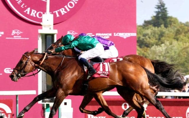 凱旋門賞の人気上昇　パリ大賞でＧ１初制覇の英３歳牡馬　日本馬で最上位人気はメイショウタバル＆アドマイヤテラ
