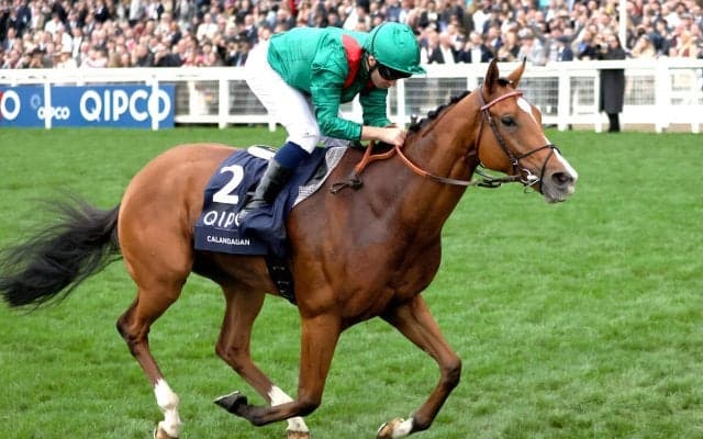 【キングジョージ】日本馬の海外ブックメーカー前日オッズは？　１番人気は昨年覇者のカランダガン