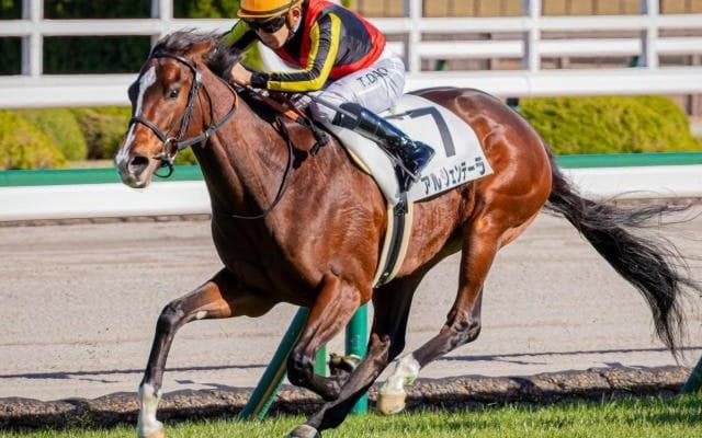 名牝ジェンティルドンナの6番仔 アルジェンテーラが復帰戦で初勝利なるか