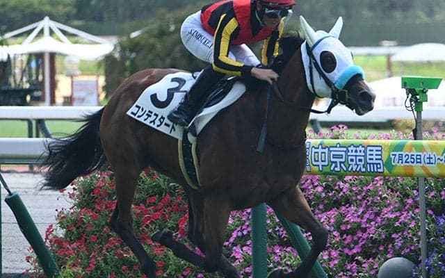 【中京2R新馬戦結果】リアルスティール産駒コンテスタードが3馬身差で快勝