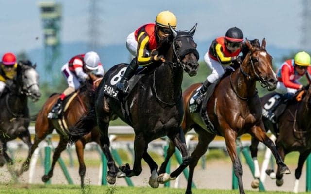 【三面川特別】単勝1.5倍ラベルセーヌが人気に応えて快勝
