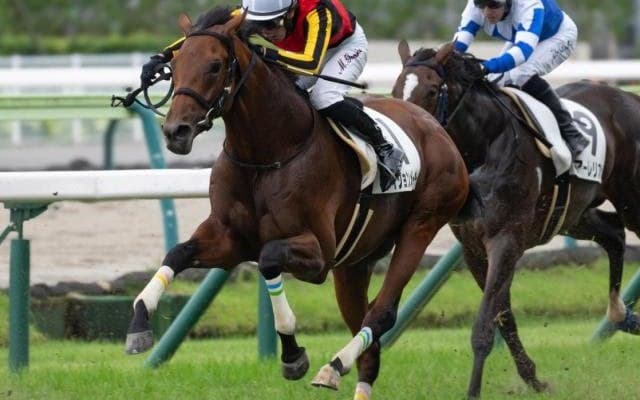 タッチングスピーチの4番仔 ヴィジョンメーカーが約半年ぶりの復帰戦だ
