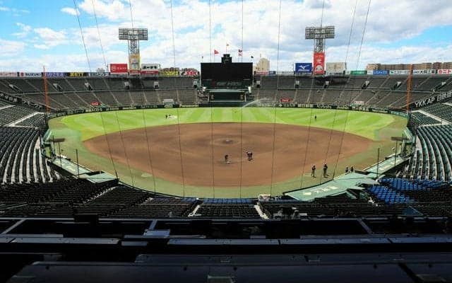 夏のスポーツのあり方、甲子園で模索続く　気候変動の中で安全確保を