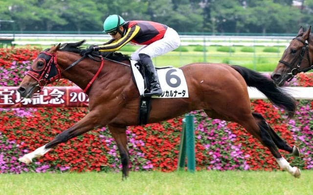 【新潟２歳Ｓ・データ埋蔵金】ノーザンファーム生産×栗東所属×サンデーＲの新馬勝ち　買い条件いっぱいの馬で頭勝負