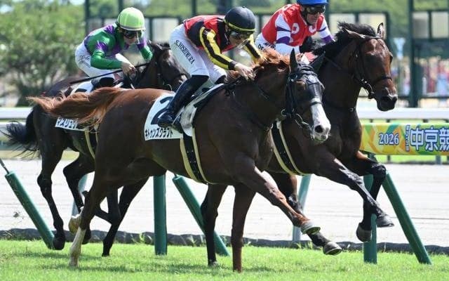 【中京2R新馬戦結果】オルフェーヴル産駒キトゥンズクラフトが人気に応えてV