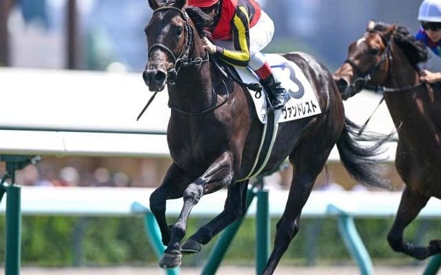 【札幌5R新馬戦結果】コントレイル産駒ヴァンドレストが人気に応えて快勝