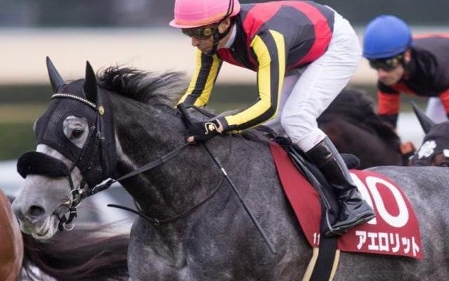 母は名牝アエロリット イルサリットが横山武史騎手でデビュー勝ち狙う