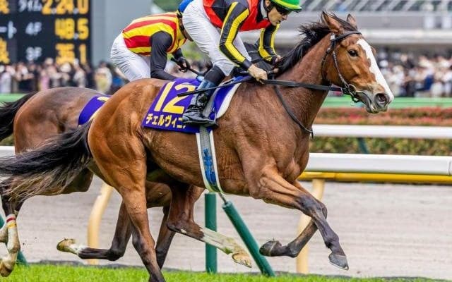 半姉は二冠牝馬のチェルヴィニア エフフォーリア産駒のチェスティーノが初陣だ