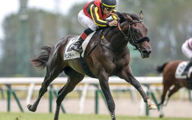 【新潟4R新馬戦結果】チェルヴィニアの半弟チェスティーノが人気に応えてV