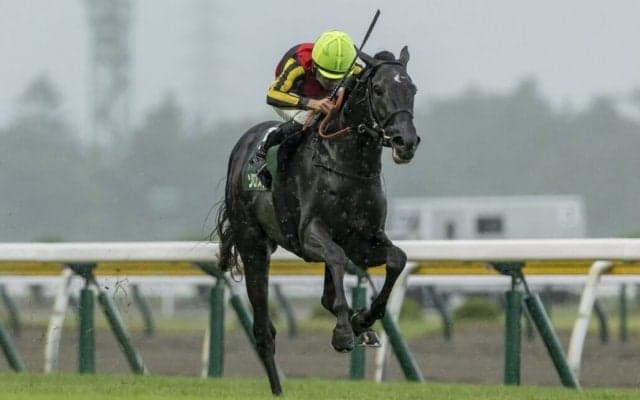 【新潟記念】3頭の大激戦！ゾロアストロがゴール前の猛追しのぐ、重賞2勝目